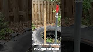 Sledge Hammer Weight for Different Training Purposes Endurance Cardio or Punch Power [upl. by Anileme]