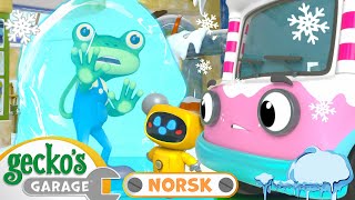 Gecko blir fryst  Geckos Garage Norske  Tegneserier for barn  Hele episoder på norsk [upl. by Avid]