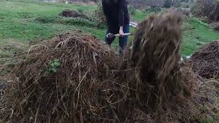 Huge compost pile after a bomb cyclone turn 6 [upl. by Mitchell]