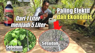 CARA MEMPERBANYAK HERBISIDA KONTAK DARI 1 LITER MENJADI 5 LITER PLUS HASILNYA TURMADAN [upl. by Ahseyn]