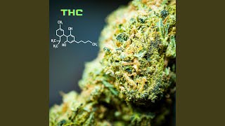 THC [upl. by Leonsis]