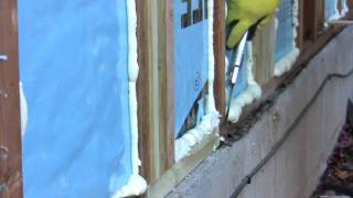 DIY Spray Foam Insulation  Poor Mans Spray Foam [upl. by Halludba]