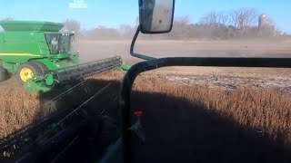 A GREAT last day of Harvesting Soybeans [upl. by Henghold]