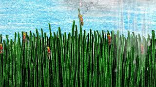 Sound Effect grass rustling leaves rustling Gras rascheln FREE USE FOR ALL [upl. by Hajile]