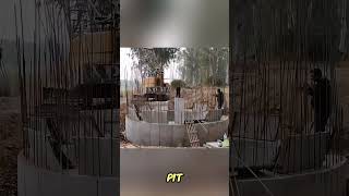 Workers Cheer During Well Construction as Concrete Sinksshortsfeed shortsviral shortsyoutube [upl. by Nylad843]