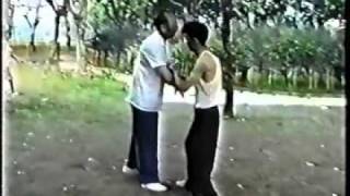 Shanghai Taijiquan style Wu Master Fei Guo Qing Pushing hands Part 1 [upl. by Mcgrath]