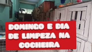 DOMINGO NA COCHEIRA E DIA DE LIMPEZA [upl. by Stafford37]