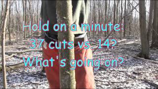 Why an angled back cut is dangerous and unecessary when hinge cutting a tree [upl. by Goldstein]