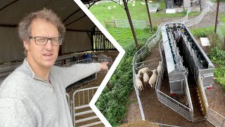 Measuring Methane emissions in sheep [upl. by Eceryt]