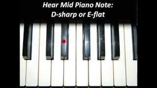 Hear Piano Note  Mid D Sharp or E Flat [upl. by Neehahs]