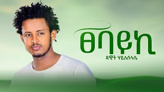 Dawit Hailesilassie  Tsebayki  ዳዊት ሃይለስላሴ  ፀባይኪ  New Tigrigna MusicOfficial music2024 music [upl. by Zolner]