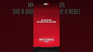 Doja Cat  Paint The Town Red Lyrics [upl. by Jacki]