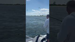 Catching bluefish at Barnegat Inlet fishing Barnegat bay for bluefish barnegatbay fishing [upl. by Yarazed756]