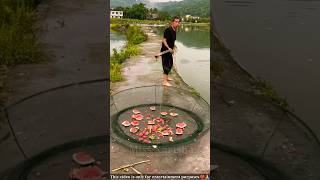 Fishing Trap 🎣 🥰  New Viral Gadgets Smart Appliances Kitchen Utensils Home Inventions shorts [upl. by Chaing]