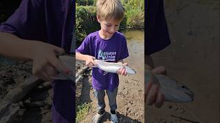 1ST FALL STEELHEAD2024 troutfishing catchandrelease fishing [upl. by Gusty257]