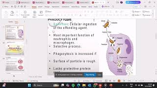 Blood physiology past exam paper revision question 1015 [upl. by Ylen]