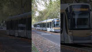 STIB Bombardier flexity Outlook T4000 sur le Boulevard Lambermont [upl. by Phillie]