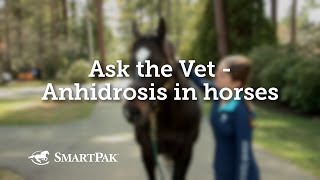 Ask the Vet  Anhidrosis in horses [upl. by Elleirda]