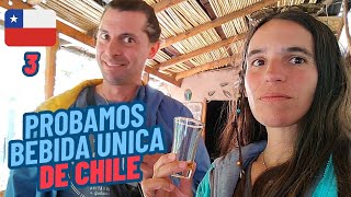 Probamos la BEBIDA CHILENA por DENOMINACIÓN DE ORIGEN 🍷 en un VALLE MÁGICO 🪄 [upl. by Sacttler]