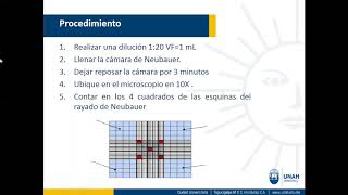 Recuento manual de leucocitos [upl. by Gnay]