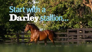 Start with a Darley stallion [upl. by Asila]