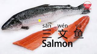 How to say Salmon in Chinese 三文鱼 san wen yu  say chinese real human voice [upl. by Lebiralc]