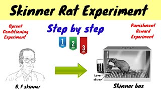 Skinner Rat experiment  Oprent Conditioning  Punishment amp Reward  hindiurdu [upl. by Eeclehc168]