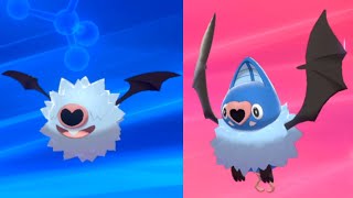 SWOOBAT Friendship Evolution HAPPINESS 220  Pokemon Sword amp Shield [upl. by Agata]