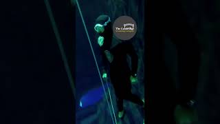 What is the deepest swimming pool in the world Deep Dive Dubai [upl. by Haleelahk]