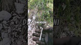 I pericoli del metaldetecting nella militaria ww2 ww1 relic danger relic archeology war [upl. by Cotterell]