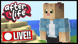 I AM THE SERVER CAT  Minecraft Afterlife SMP [upl. by Edme646]