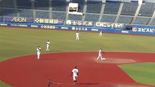 トライアウト〜シートノック前 内野ボール回し（2024年11月14日 プロ野球合同トライアウト ） [upl. by Matthiew950]