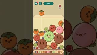 QS Watermelon Game Monkey Land King of fruits [upl. by Nesyaj]