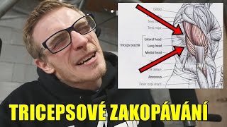 TRICEPSOVÉ ZAKOPÁVÁNÍ s jednoruční činkou v předklonu [upl. by Cioffred]