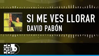 Si Me Ves Llorar David Pabón  Video Letra [upl. by Ahsened]