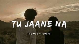 Tu Jaane Na  Slowed  Reverb  Kapil Lofi Vibes [upl. by Bernadette]