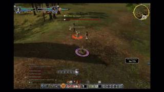 LOTRO Warden vs Guardian  EN Snowbourn [upl. by Terri]