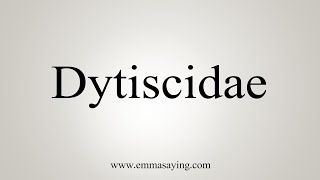 How To Say Dytiscidae [upl. by Cohlier785]