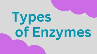 Types of Enzymes Isozyme Lysozyme Zymogens autocatalysis [upl. by Janela465]