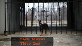 Zeiss Milvus Video Test Footage [upl. by Llerrac917]