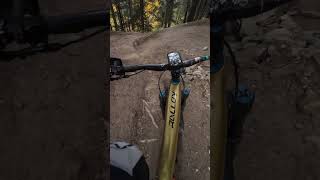 Der Moment an dem dich dein Kameramann überholt 😂😎 Bike Kingdom Chur Schwarzer Trail MTB 4k [upl. by Enelehs396]