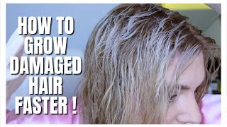 HOW TO GROW DAMAGED HAIR FASTER [upl. by Trebleda719]