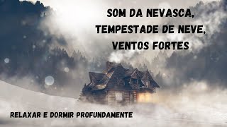 2 horas de 🎧 Som da Nevasca com Vento Forte Para Dormir Relaxar e Descansar a Mente [upl. by Tychonn]