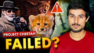 Why Modi Govt’s Project Cheetah has FAILED  Dhruv Rathee [upl. by Brawner316]