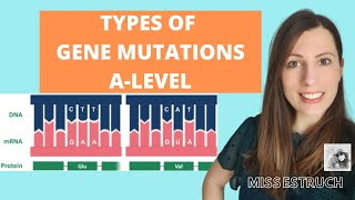 Type of GENE MUTATIONS Alevel Biology Do you know the 6 types of gene mutations [upl. by Cuhp635]