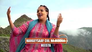 FARXIYA FISKA  HARGEISAAY CIIL HA MUDAN  MUUQAAL LAYAAB LEH  HORNSAT MUSIC SHOW LIVE [upl. by Noret]