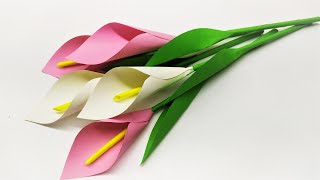 ЦВЕТЫ ИЗ БУМАГИ КАЛЛЫ ЛИЛИИ ORIGAMI flowers [upl. by Maiga]