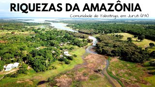 Viagem a uma comunidade de Juruti no Pará  Tabatinga Rio Amazonas Turismo Aqui [upl. by Irrol558]