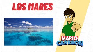 Los Mares 🌊 [upl. by Knipe]