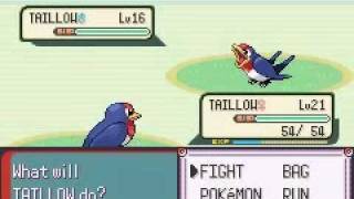 Pokémon Emerald Male Taillow vs Female Taillow [upl. by Dlorah]